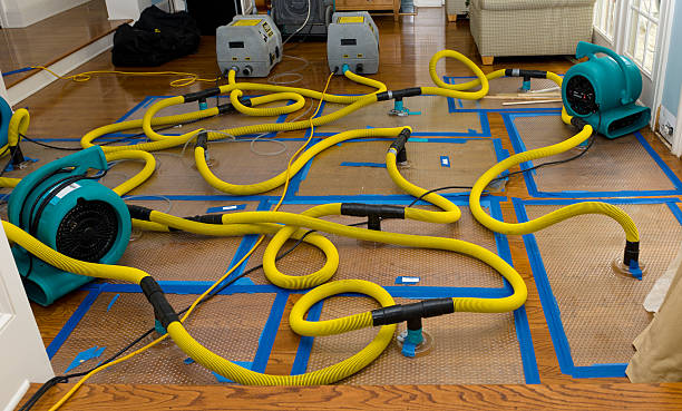 Professional Flood Damage Restoration technician working in Corbett, OR